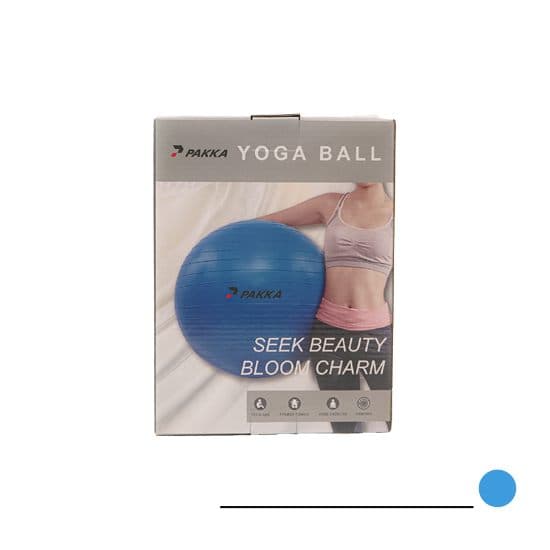 Ballon de Yoga Pakka