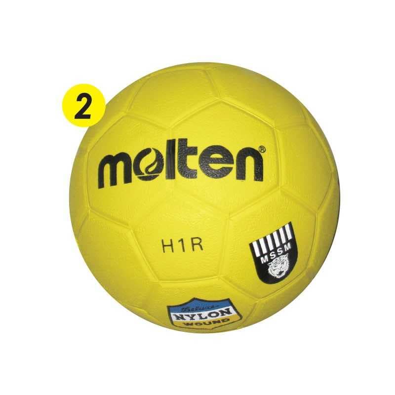 Ballon de Handball Molten